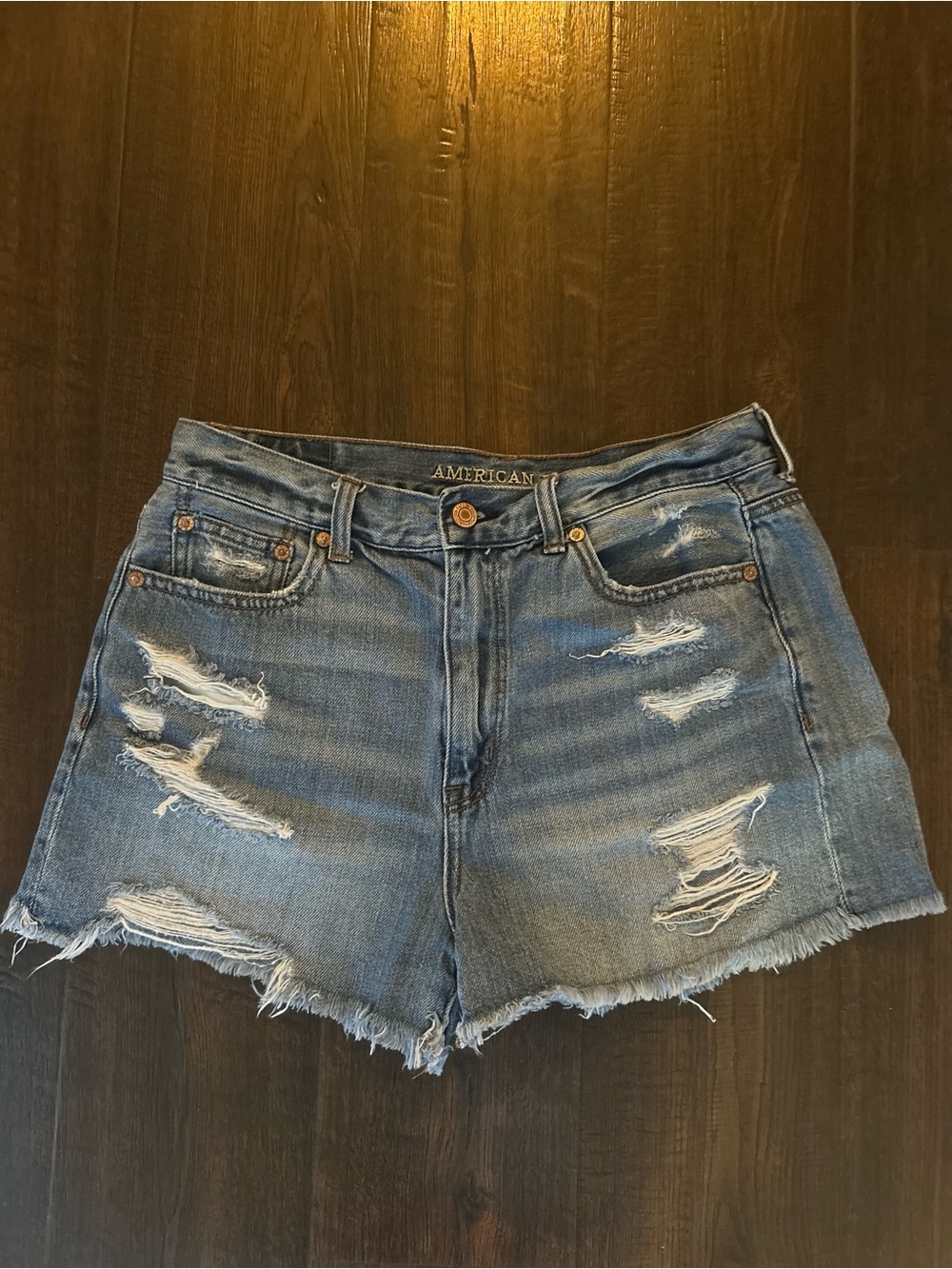 American Eagle Outfitters Ripped Light Blue Denim Shorts